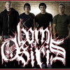 Born Of Osiris Band Photo