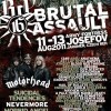 brutal-assault-2011
