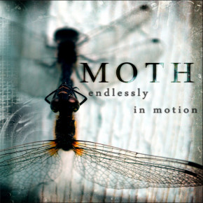 MOTH – Endlessly in Motion