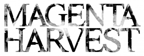 Magenta Harvest