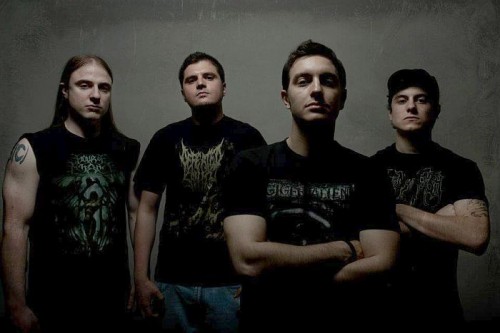 LOGIC OF DENIAL с нов албум