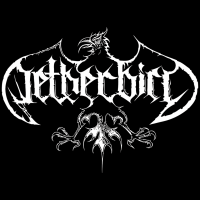 NETHERBIRD се завръщат