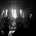 dargor-band