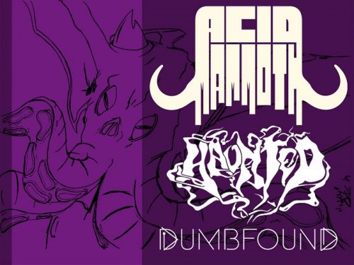 Концерт на Acid Mammoth, Haunted и Dumbfound